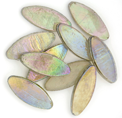 Calissons Kaki Transparent, par 100g