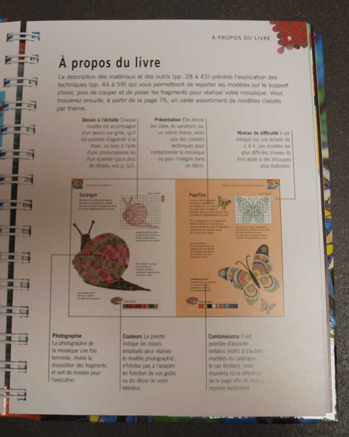 Livre 300 Motifs